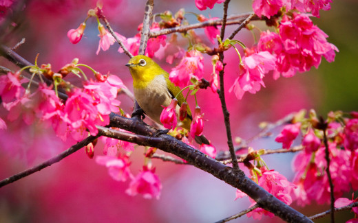 579686 (a): :2560x1600
